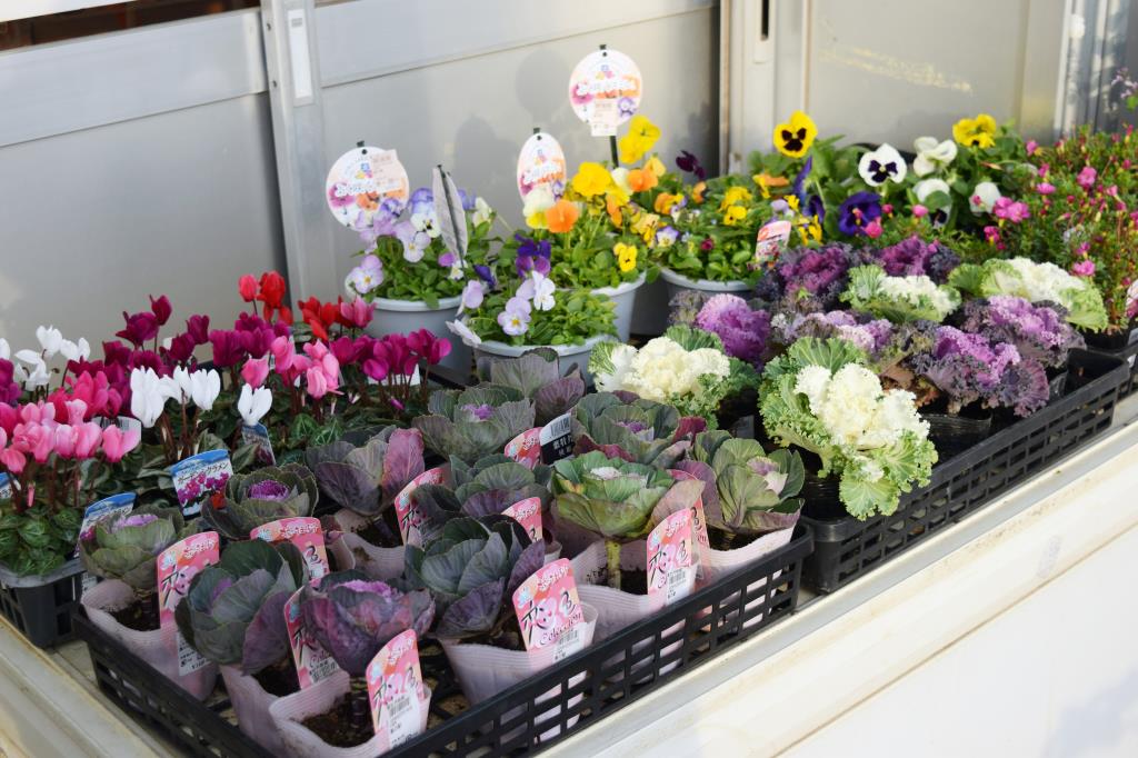 双葉農の駅 甲斐市 お土産 直売所 3