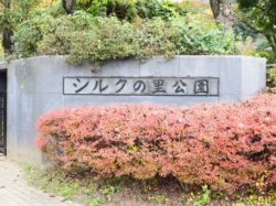 豊富シルクの里公園