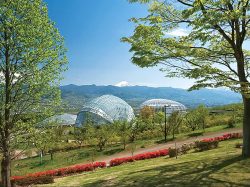山梨県笛吹川フルーツ公園