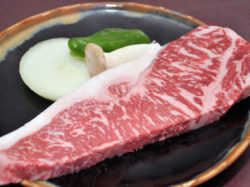 フレンチブルドッグ