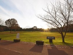 諏訪の森自然公園（富士パインズパーク）