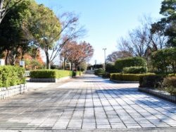 国母公園