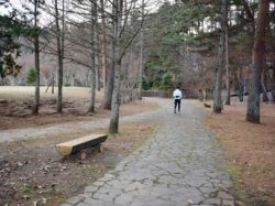 河口湖総合公園
