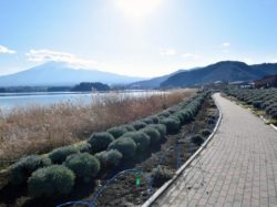 大石公園