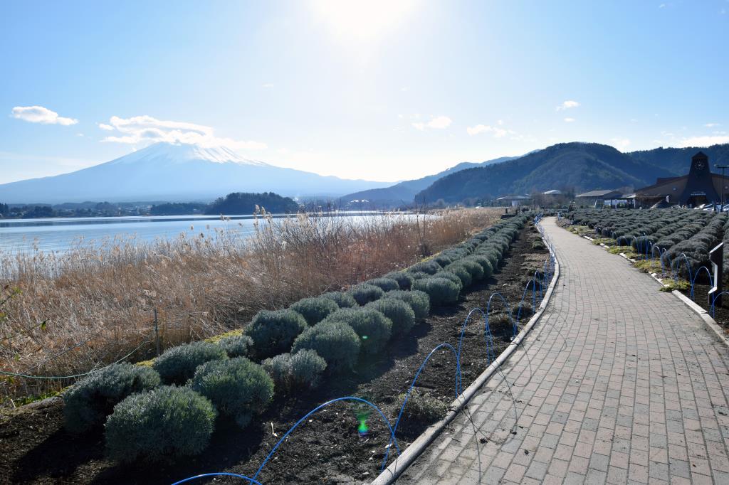 大石公園