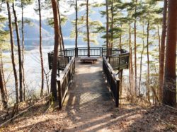 奥河口湖さくらの里公園