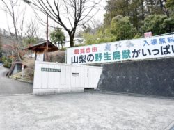 山梨県鳥獣センター