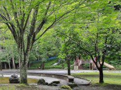 さかな公園