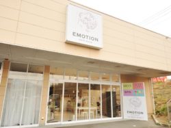 HAIR MAKE EMOTION