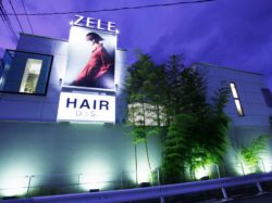 ZELE  甲府向町