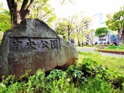 中央公園