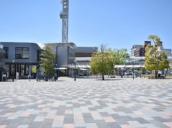 よっちゃばれ広場