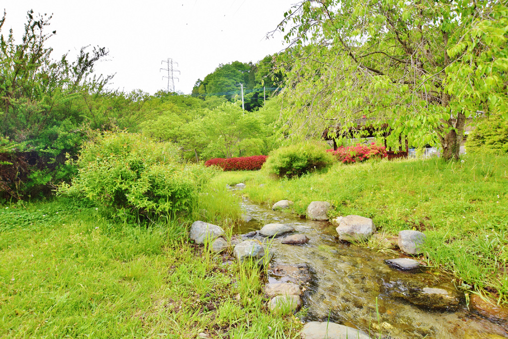 水車の里公園 写真4