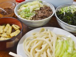 たけ川うどん