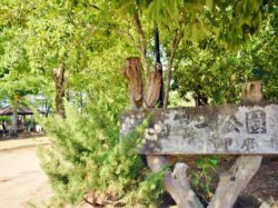 南西第一公園