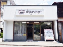 HAIR PYTHON