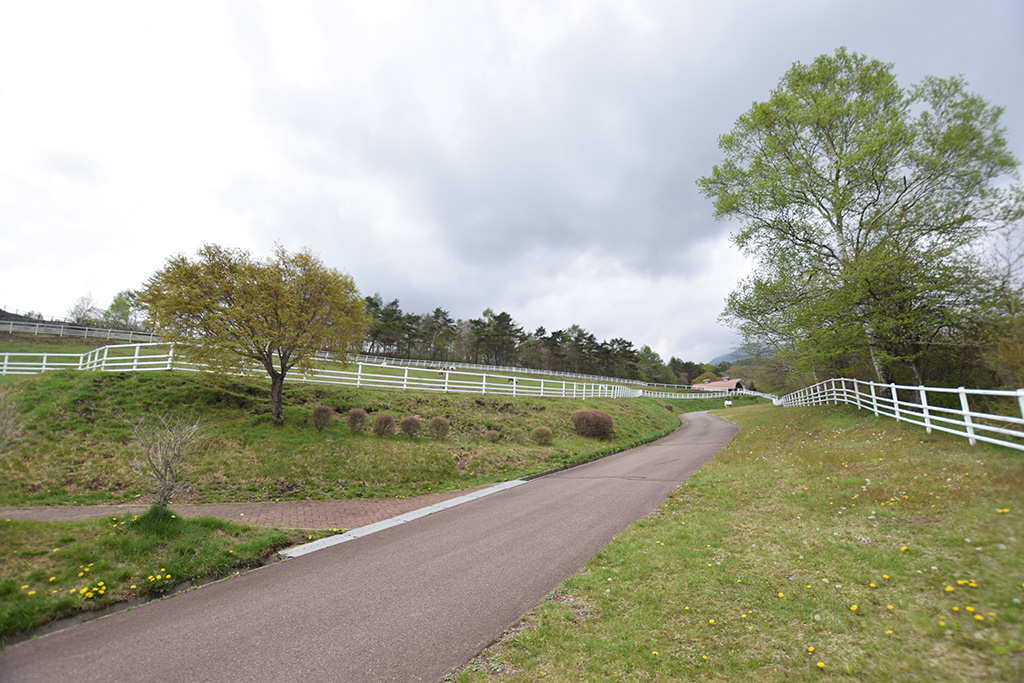 まきば公園 写真5
