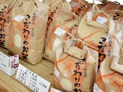 四季新鮮収穫広場「た・から」農産物直売所 5