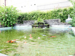 石和小林公園 笛吹市 公園 4