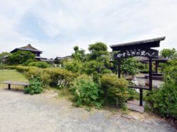 菖蒲池公園