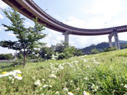 桃花橋公園