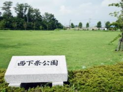 西下条公園