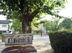 朝日公園