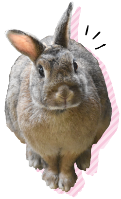 甲府市遊亀公園附属動物園アイコン