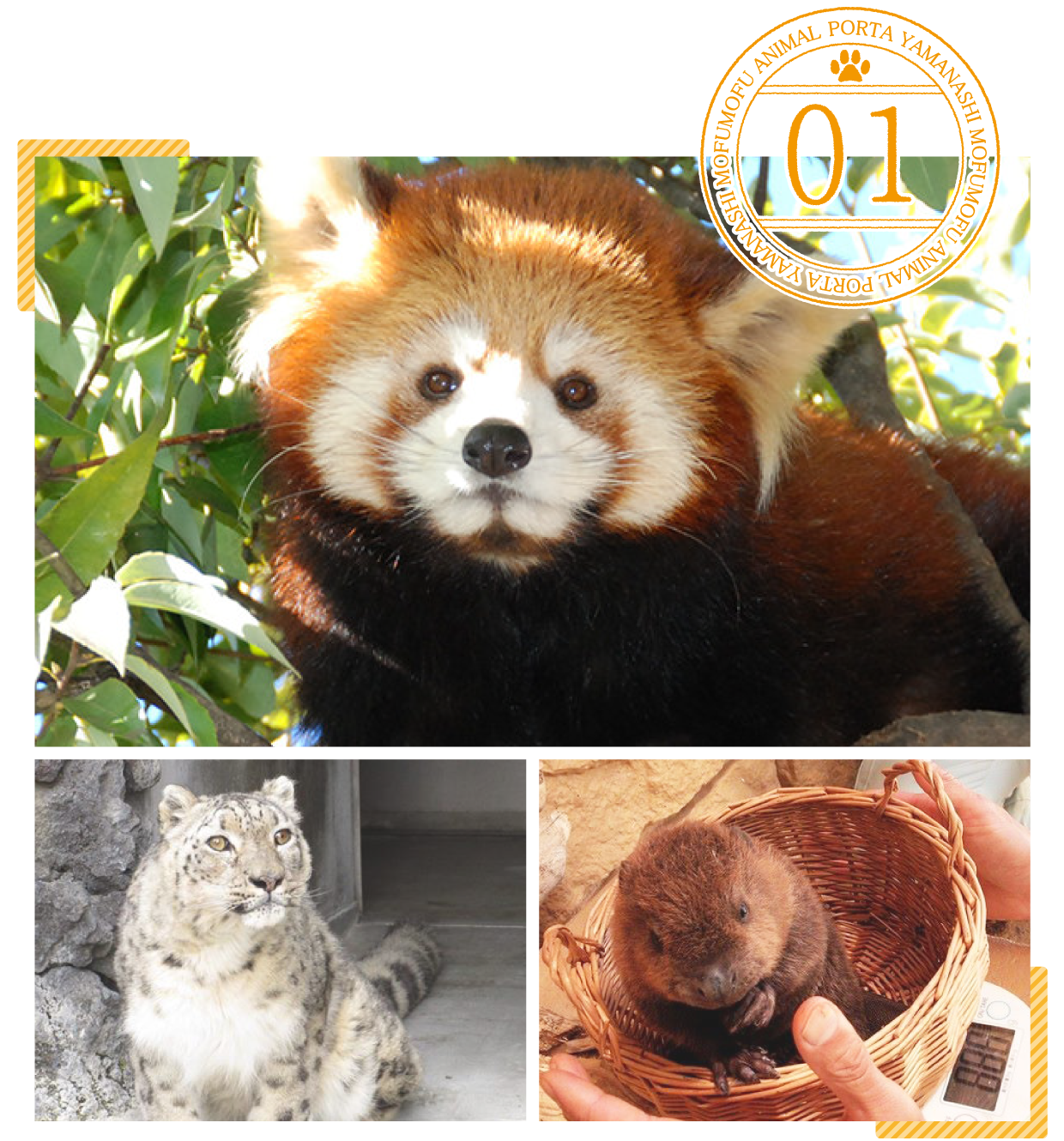 甲府市遊亀公園附属動物園ポイント1