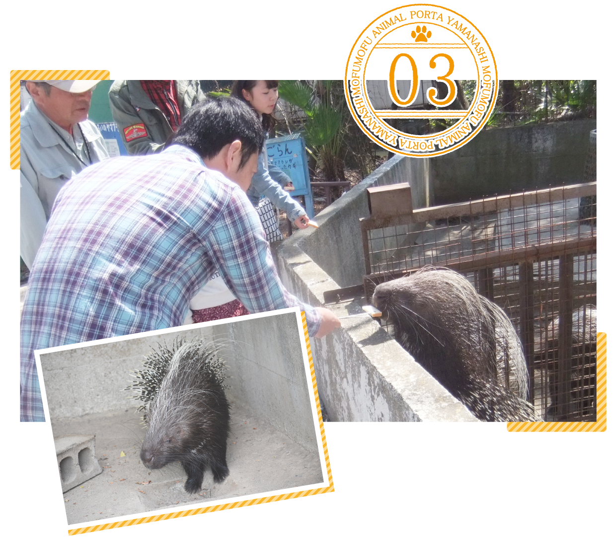甲府市遊亀公園附属動物園ポイント3