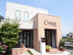 cotaca