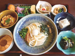 うどん せんや