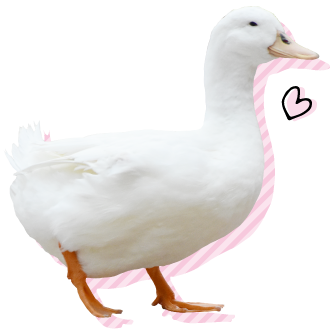 富士花鳥園アイコン