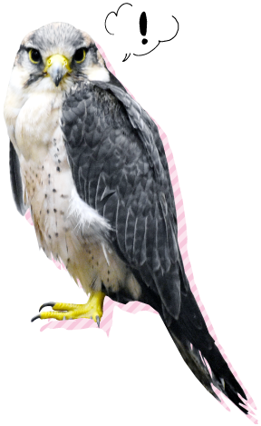 富士花鳥園アイコン