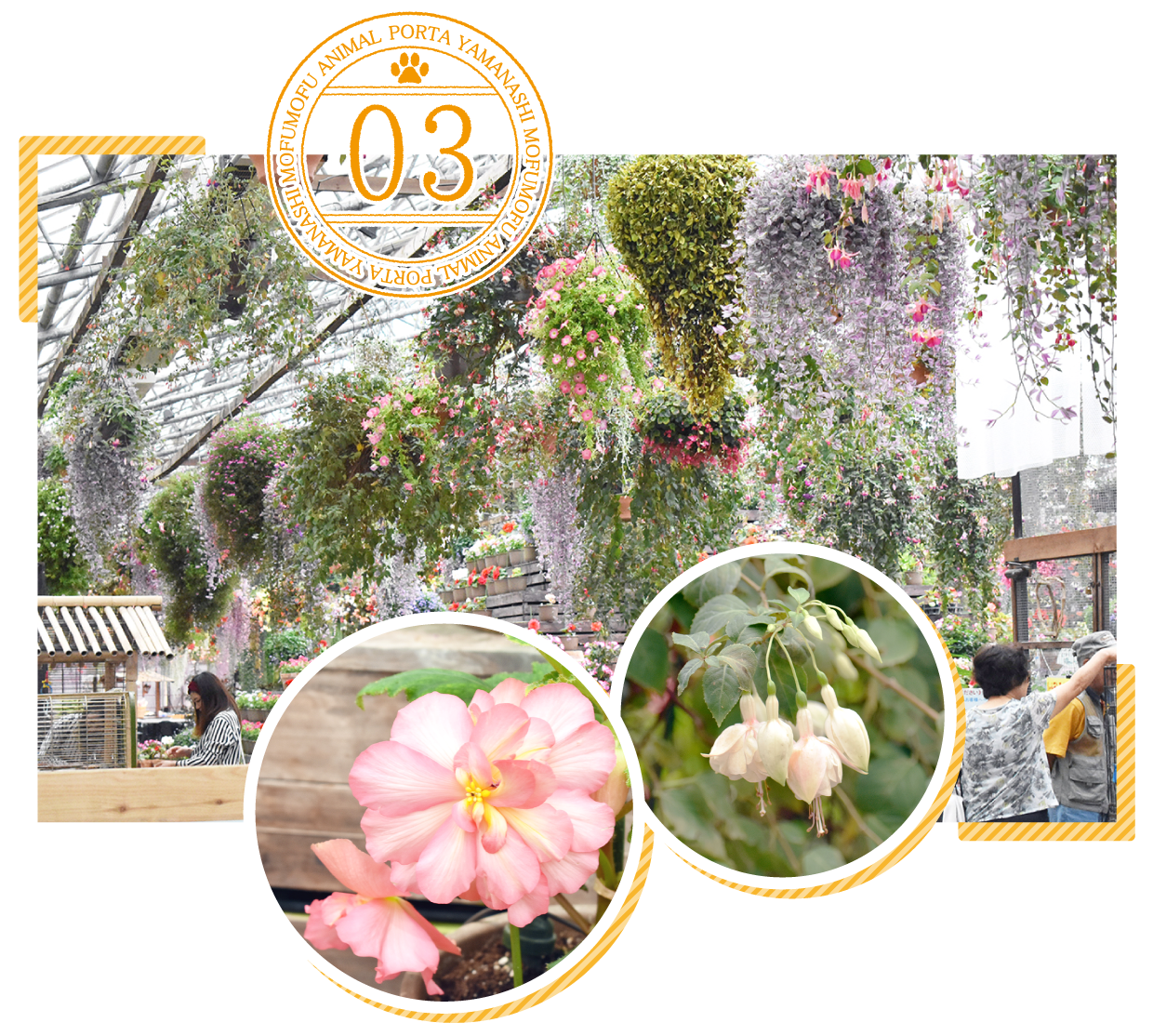 富士花鳥園ポイント3