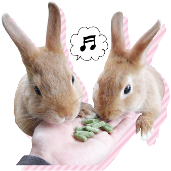 ふじさん牧場動物アイコン