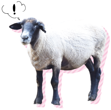 ふじさん牧場動物アイコン