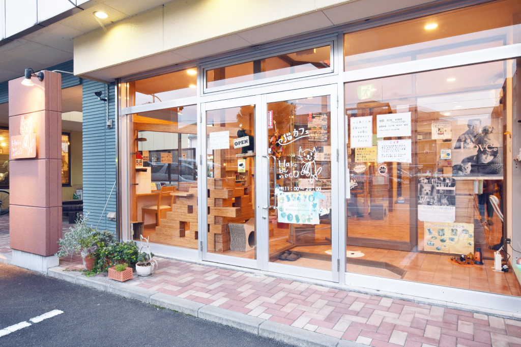 猫カフェハコブネコ外観