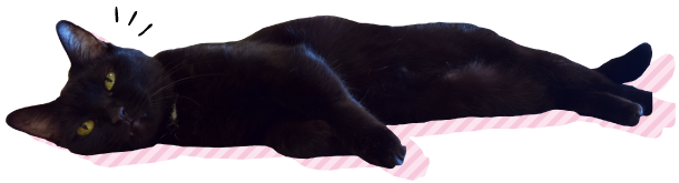 猫カフェハコブネコアイコン