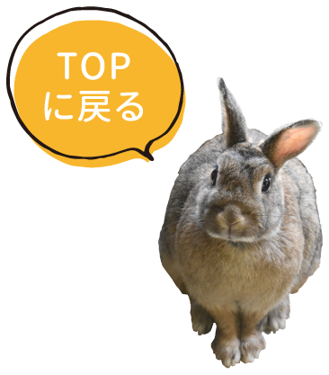 山梨の動物特集トップに戻る