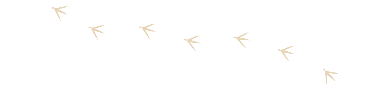 足跡