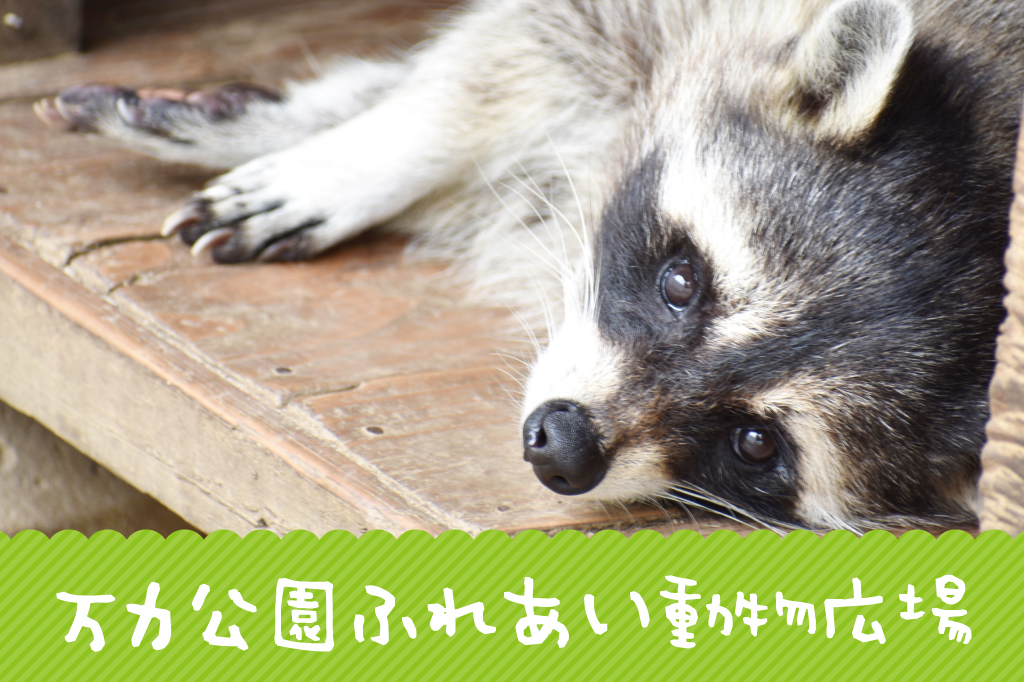 万力公園ふれあい動物広場