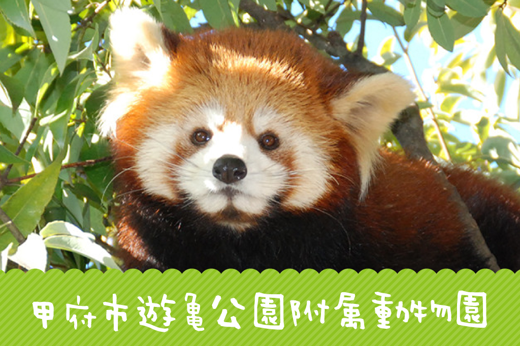 甲府市遊亀公園附属動物園