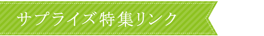 その他サプライズ特集のリンク