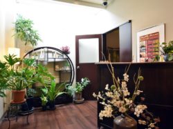エステサロン 深養