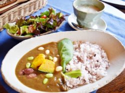 zakka&café tea tree