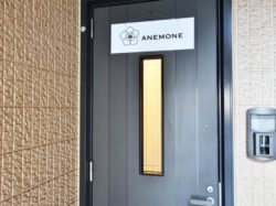 ANEMONE