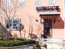 SURUCE SALON