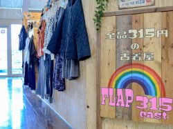 FLAP315 east 甲府市 ショップ 5