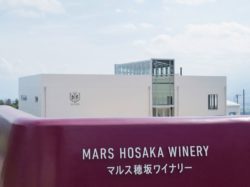 マルス穂坂ワイナリー
